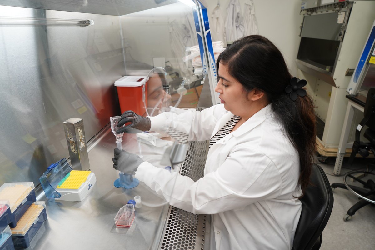 University of South Florida tweet media