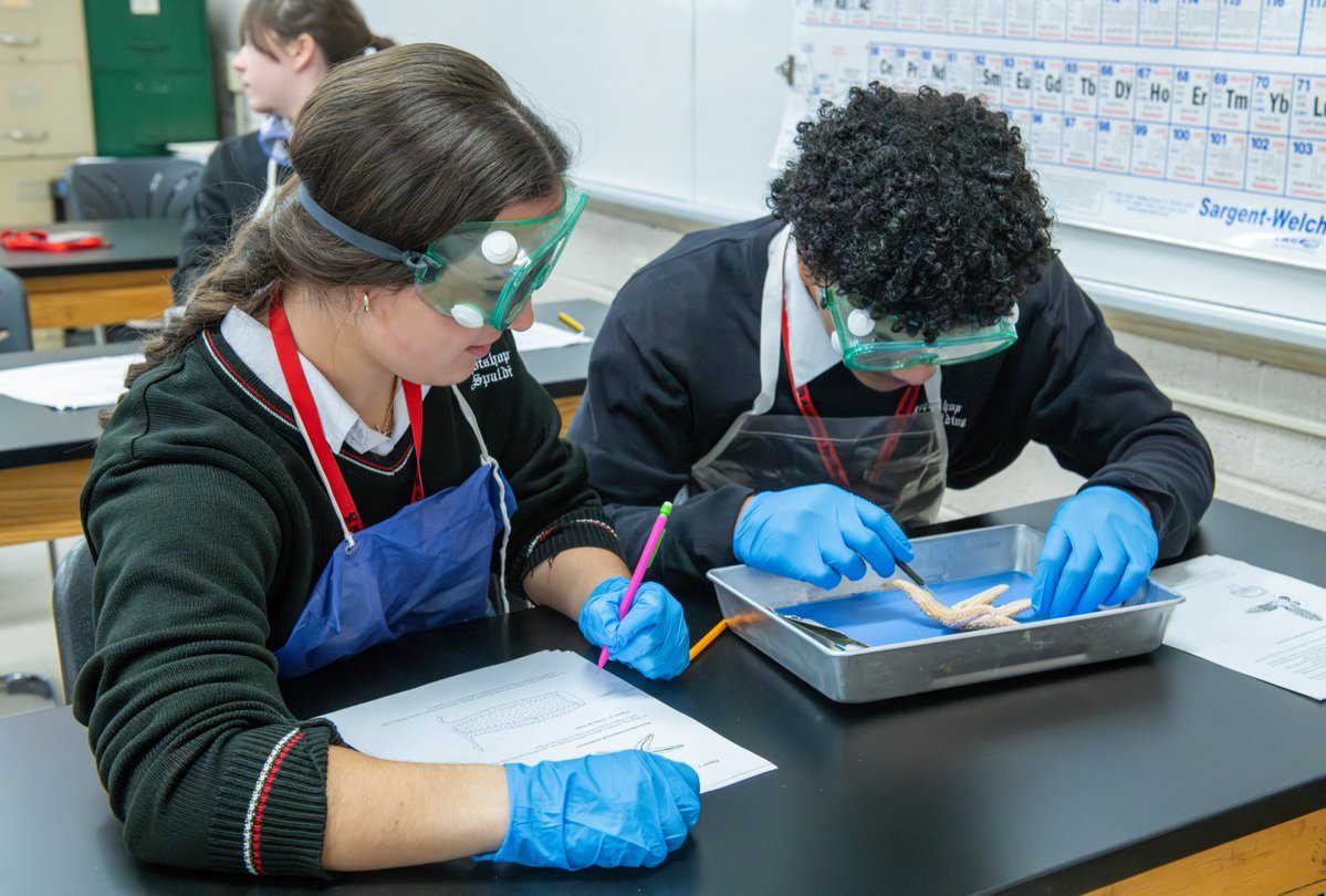 Archbishop Spalding tweet media