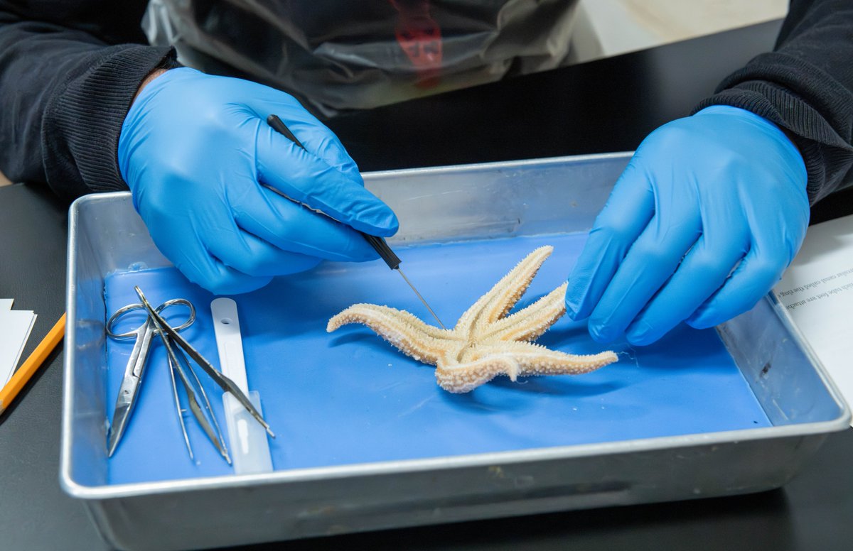 Archbishop Spalding tweet media