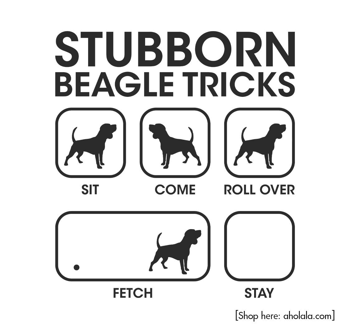 beagle_addict's tweet photo. Stubborn is not a bug, it’s a Beagle feature. 🐾🤣
=Get here: https://t.co/HFpZXdNZ9C 
#beagle https://t.co/L9osc6paPf