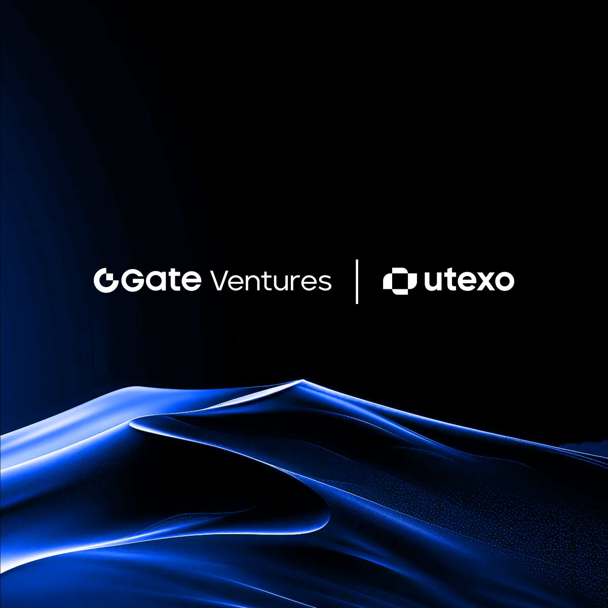 Gate Ventures tweet media