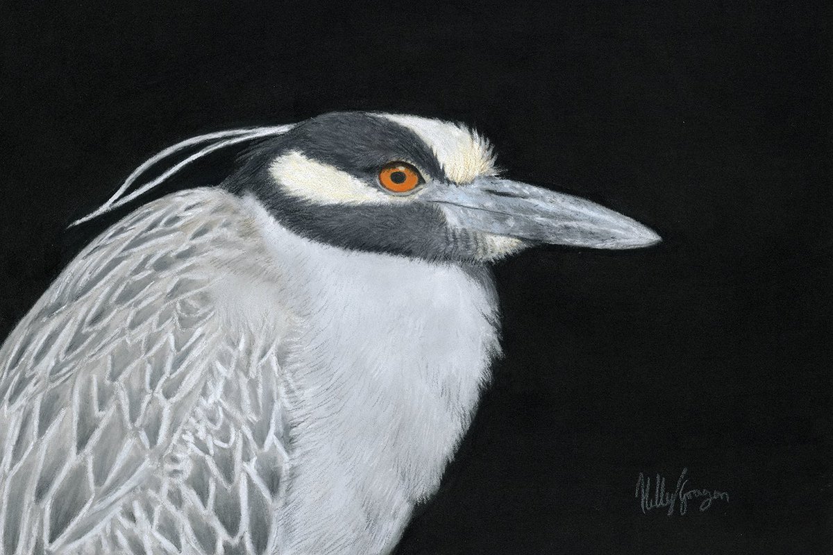 Holly Grogan tweet media