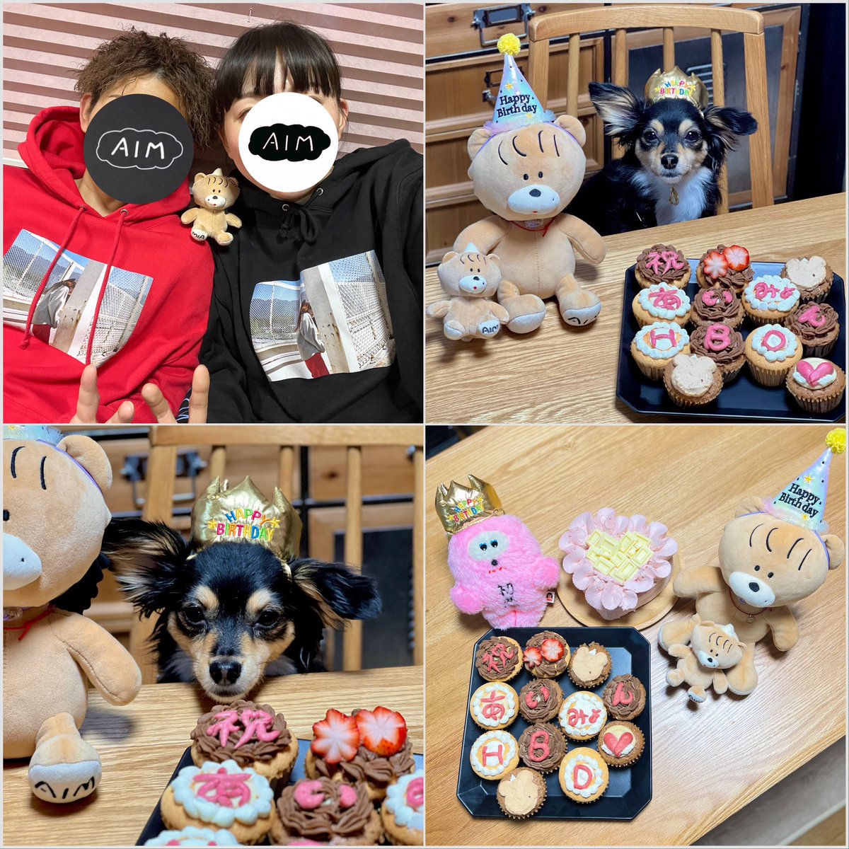 aim__________36's tweet photo. 今年もあいみょんのお祝いできて幸せでした🌷🍓🫶🏻
わが家のみょんは食べられないけど、ちゃんとみょん役してくれてる。（ちゃんと🐶用のロールケーキ食べた）
また、何回も何十回も一緒にお祝いしたいね🎈
あいみょんと一緒に歳を重ねられてはっぴーです❕

ずーーっとだいすきだよ。愛

@aimyonGtter https://t.co/4Qk4iEe0WY