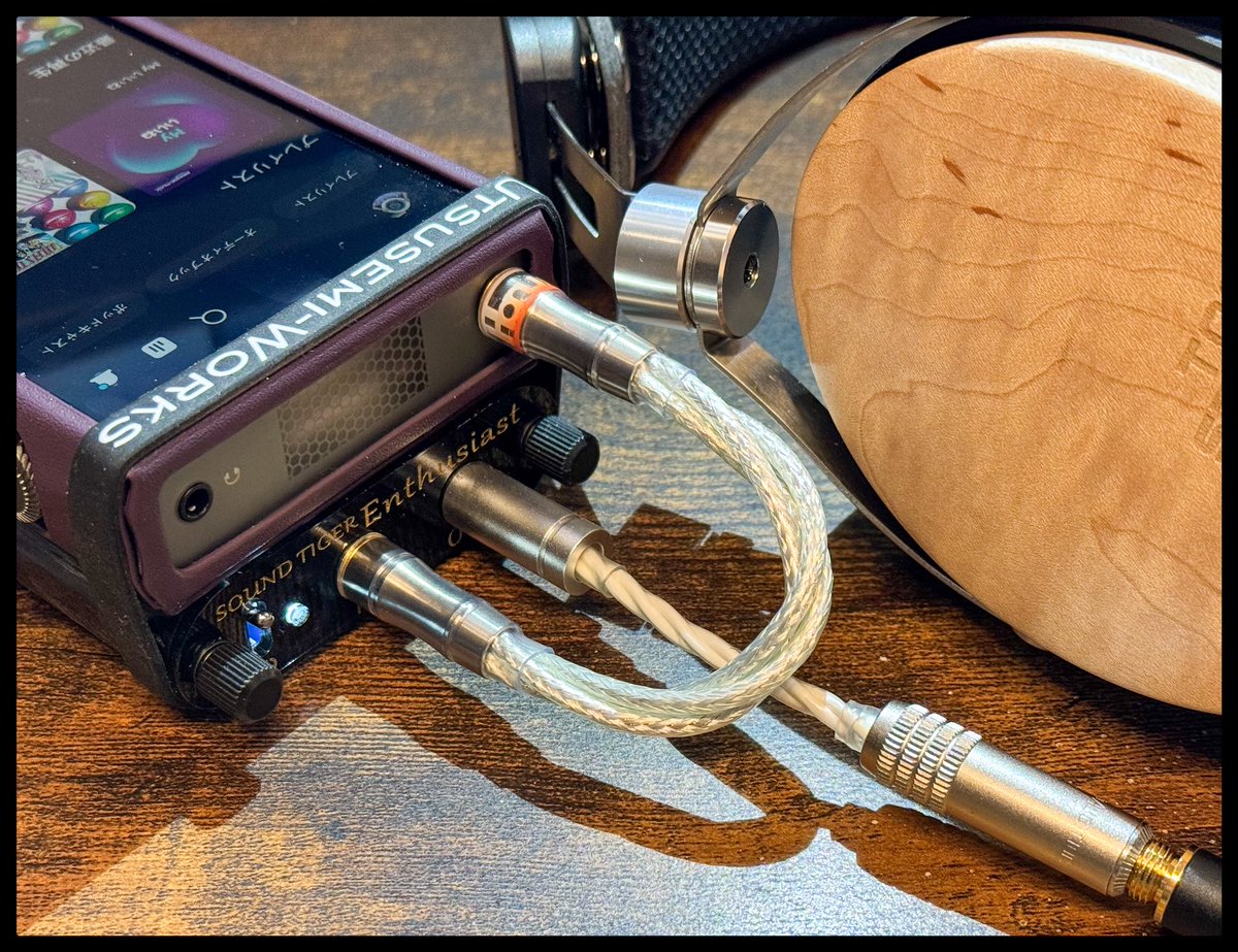 はんてん@うつせみワークス (@chiacchiere_) / Highlights / X