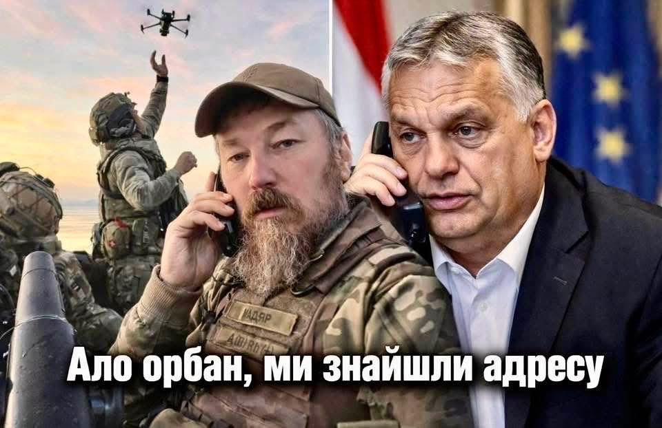 Мадьяры беседуют …😂