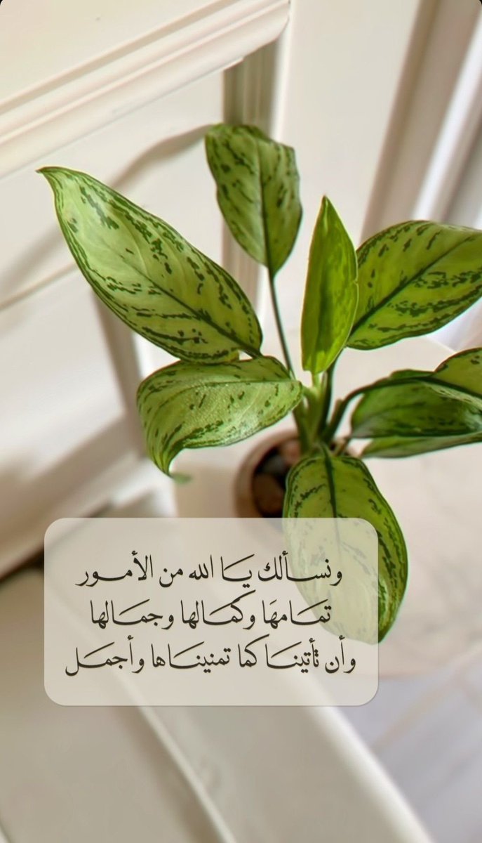 #ساعه_استجابه

اللهم شعور موسى عليه السلام، حين جاءه الرد باردًا مُنهمرًا يسيرًا منك "قَدْ أُوتِيتَ سُؤْلَكَ" 
اللهم أطعمنا جميعًا لذته.