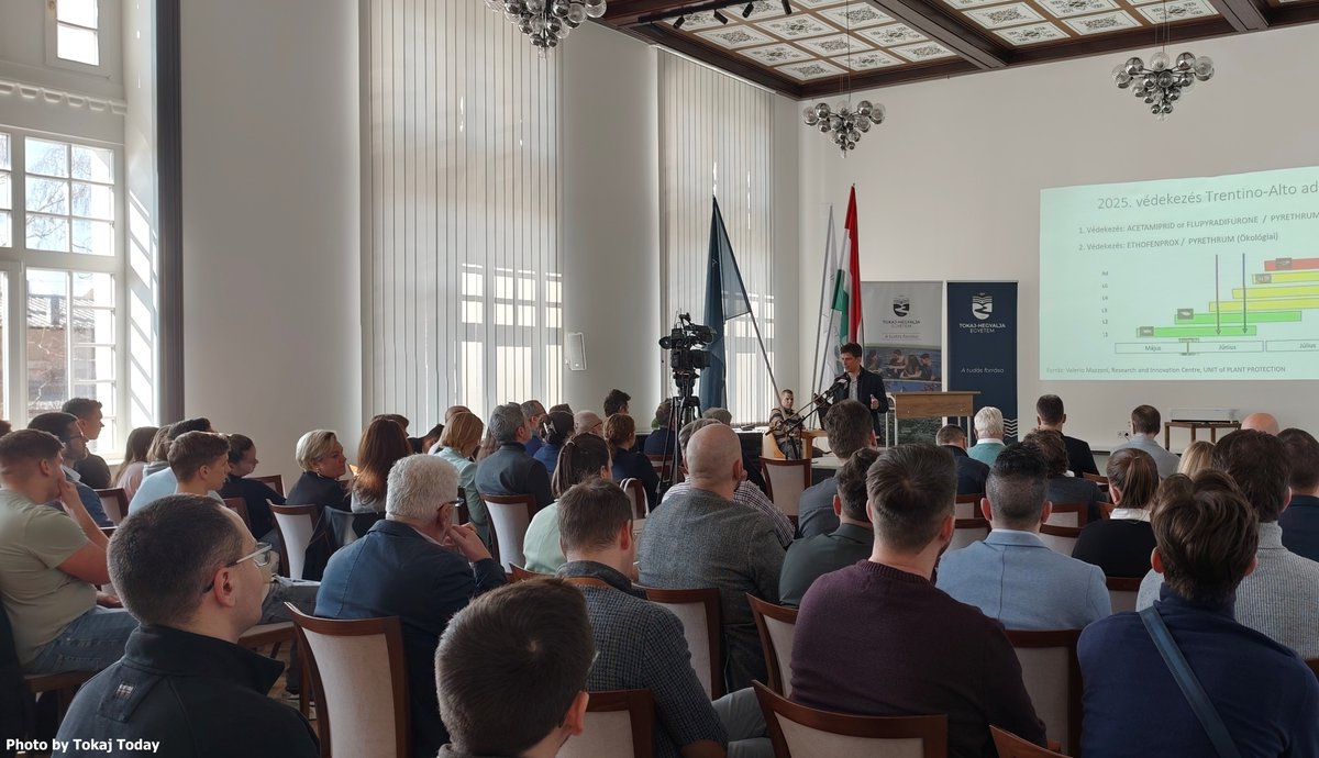 Gergely Somogyi tweet media