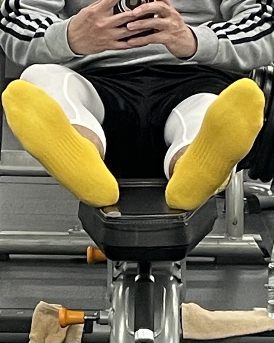 GShibata tweet media