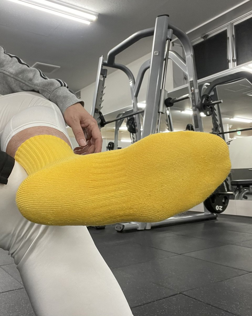 GShibata tweet media