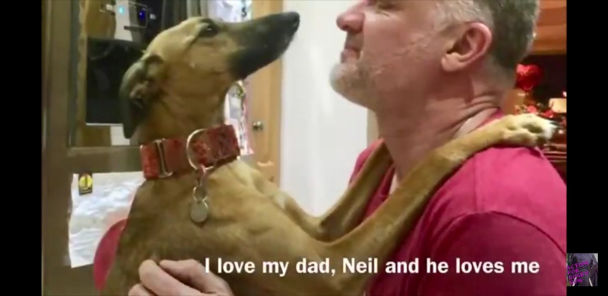 Missing Pets GB tweet media