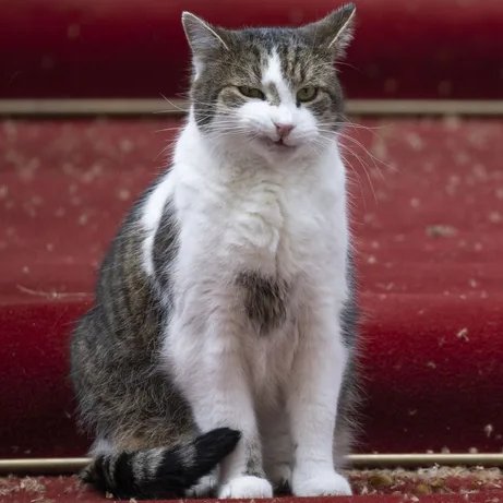 Sophie Rebecca 👾 tweet media