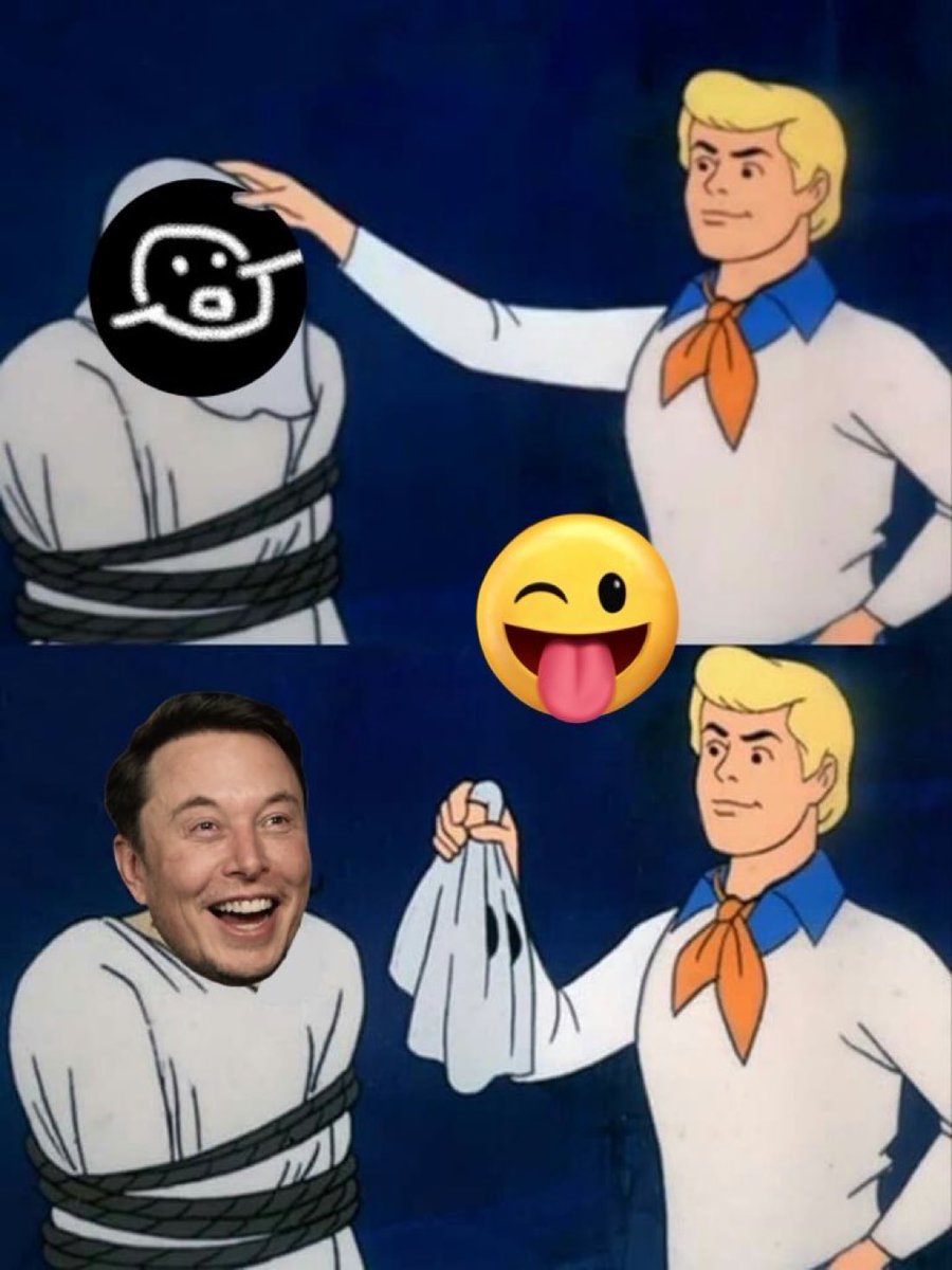 Tesla Owners Silicon Valley tweet media