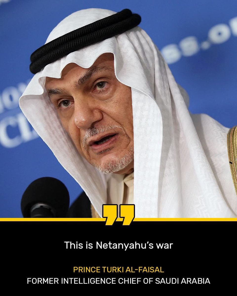 عبدالرحمن محمود tweet media