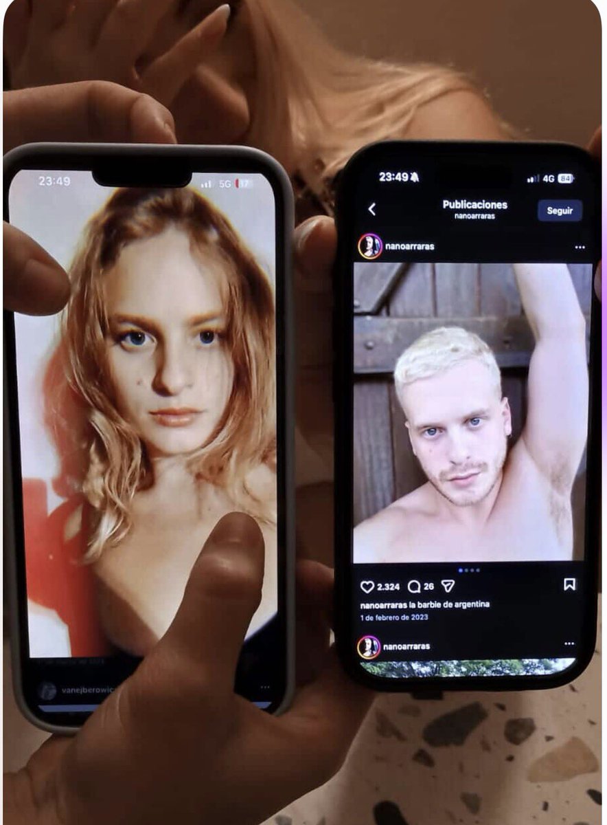 nano 🐬 tweet media