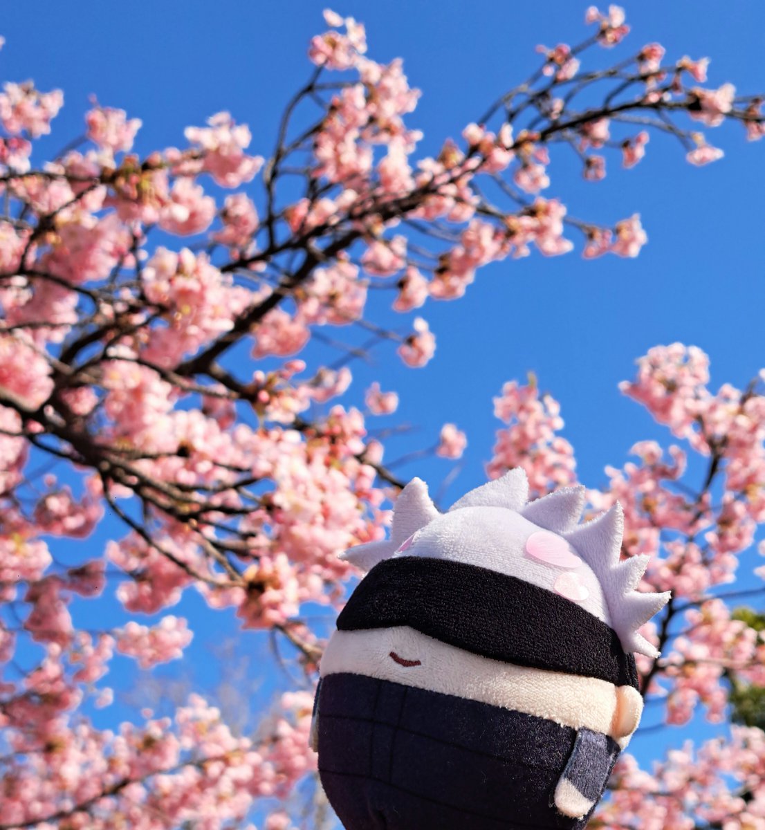 Post by にじる on X: 🌸