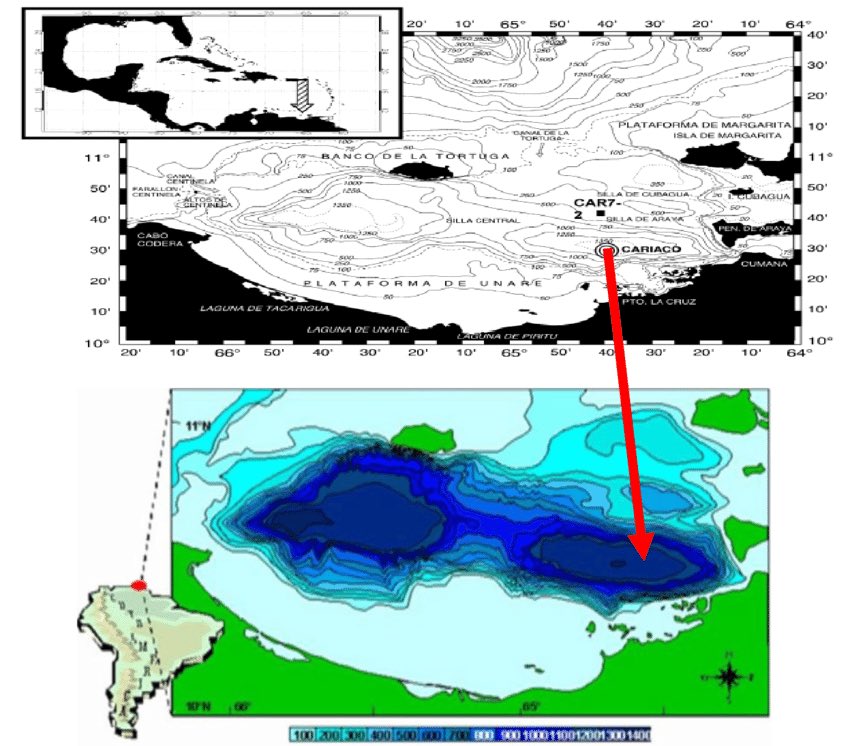 Fundación Caribe Sur tweet media