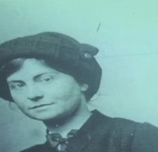 Johnstown Castle Estate, Museum & Gardens tweet media