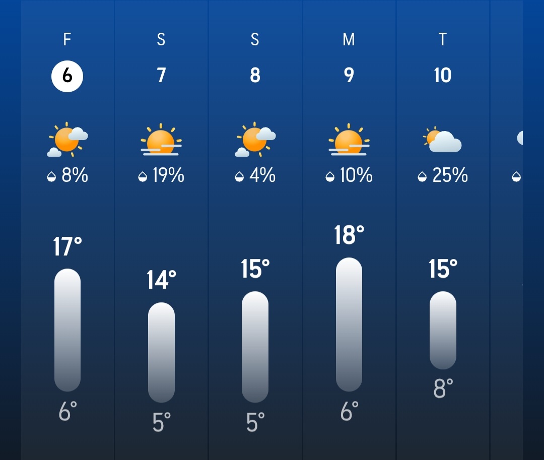 Xander Bartels tweet media