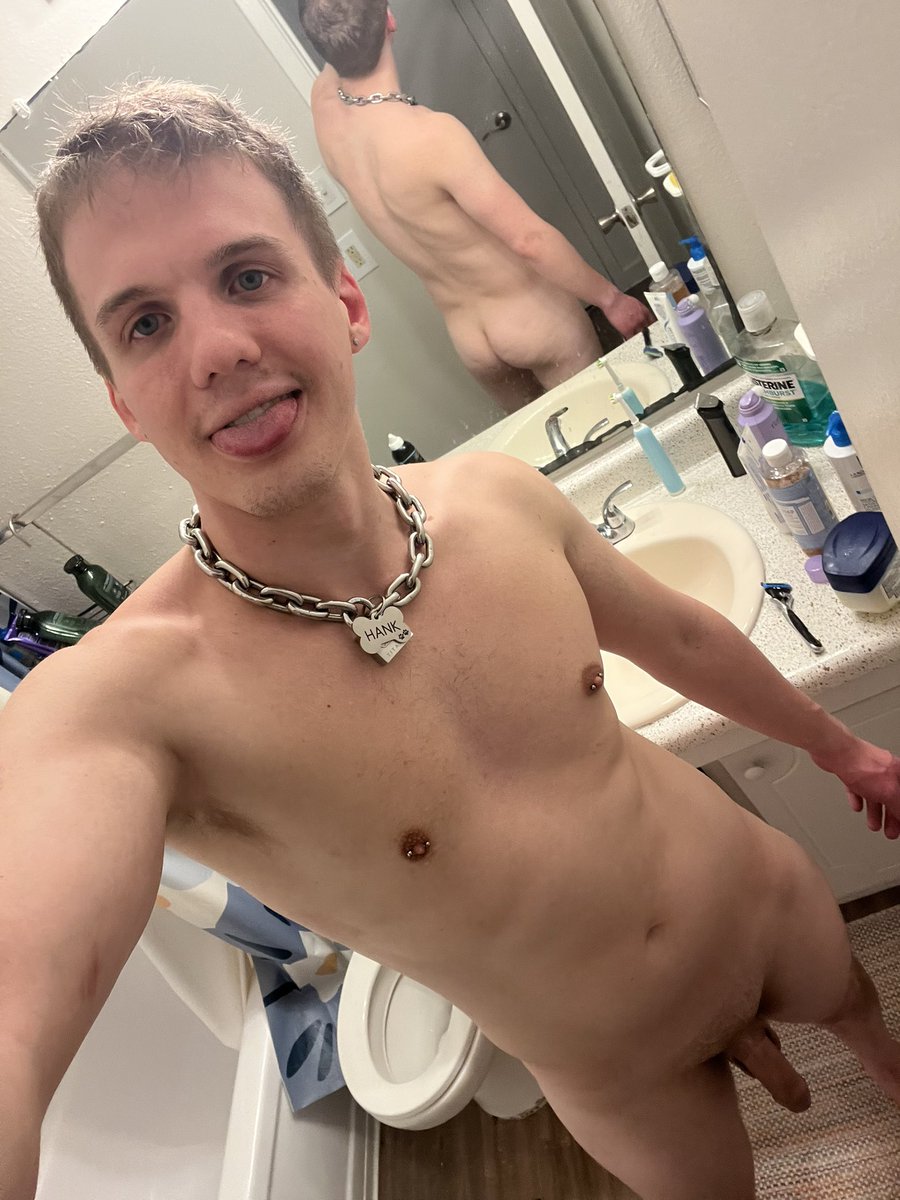 HANK THE TANK tweet media