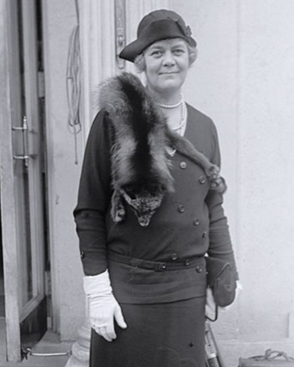 Mississippi Library Commission tweet media