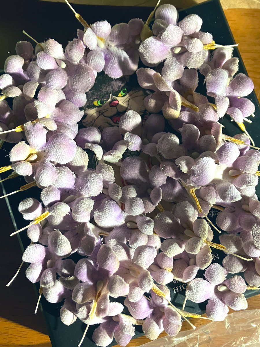 薔薇hime🥀3/14majesticwonderland名古屋 (@bara_hime) / Posts / X