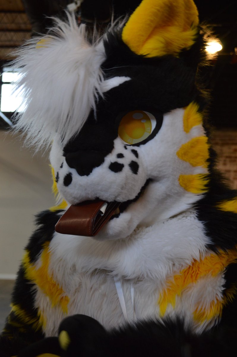 They told me I need money to live so I ate my wallet. 
#FursuitFriday 
📸 jdrgnstudios
🪡 <a href="/OmnidadCreation/">OMNI fursuits</a>, <a href="/Dogwoolowner/">DogWool</a>