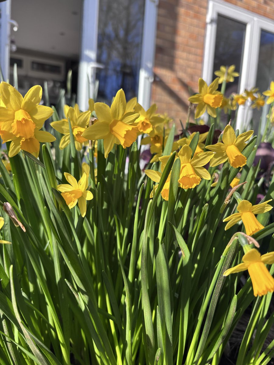 Matt Critchell tweet media