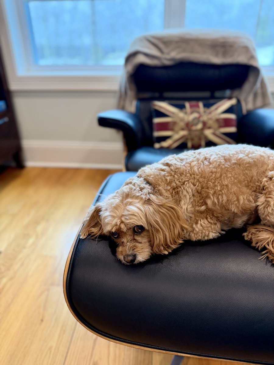 James Walker tweet media