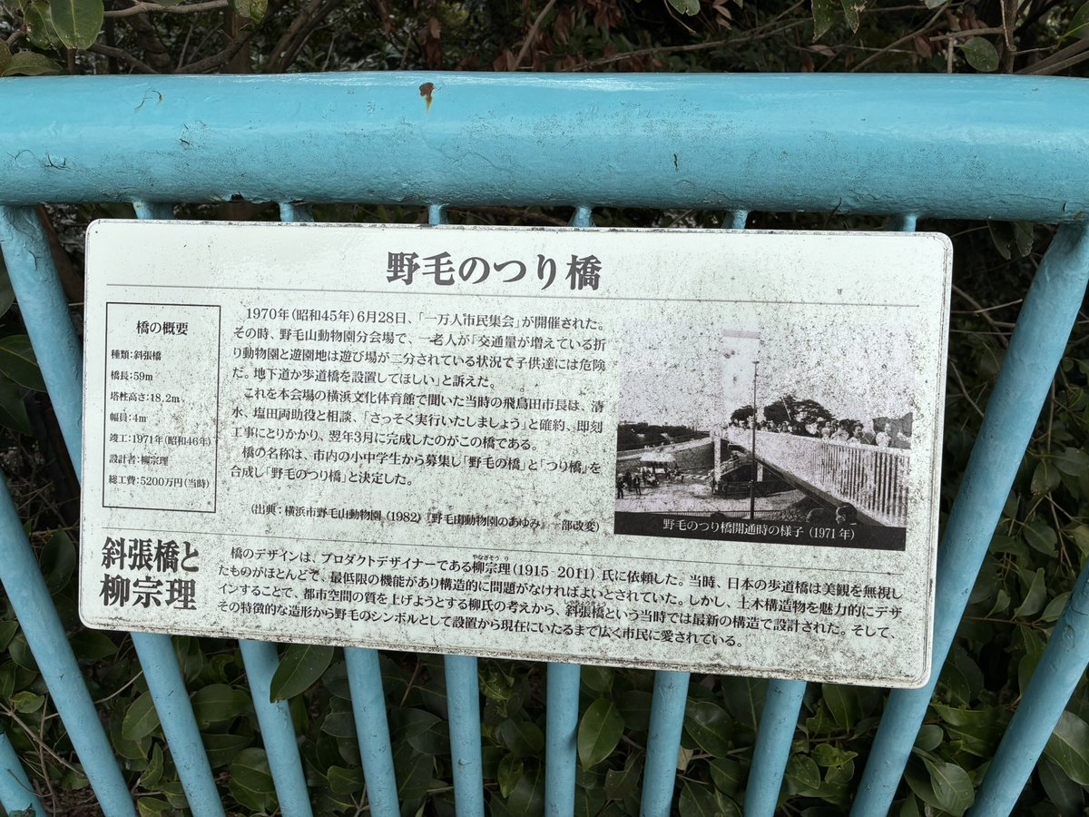 野毛のつり橋
野毛山動物園入口前
なかなか素敵な橋だな、と思ったら柳宗理
のデザインだそう！民藝のイメージでしたが橋のデザインもされたんですね
1971年竣工