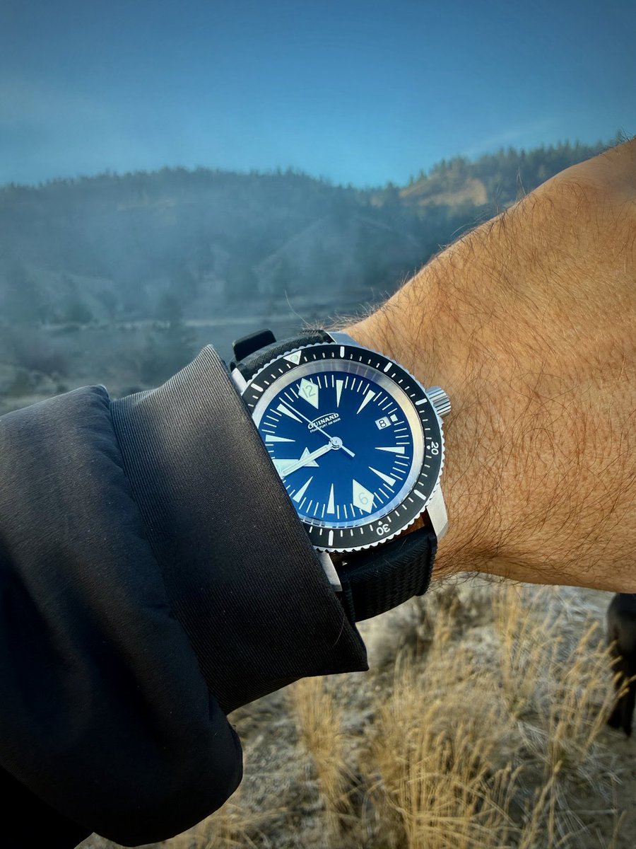 aBlogtoWatch tweet media