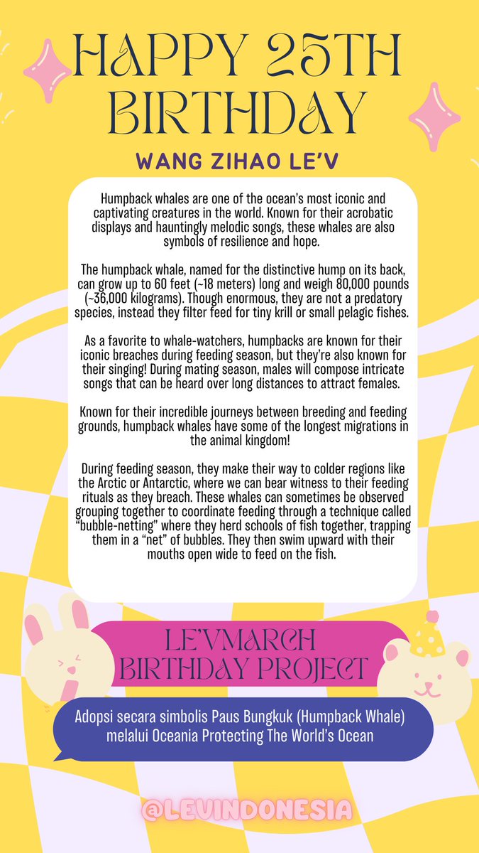 LE'V INDONESIA tweet media