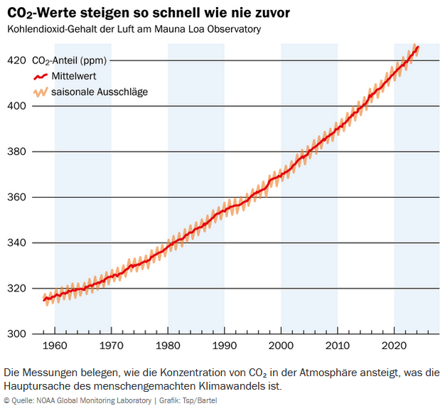 TheRealTom™ - Trusted Flagger tweet media