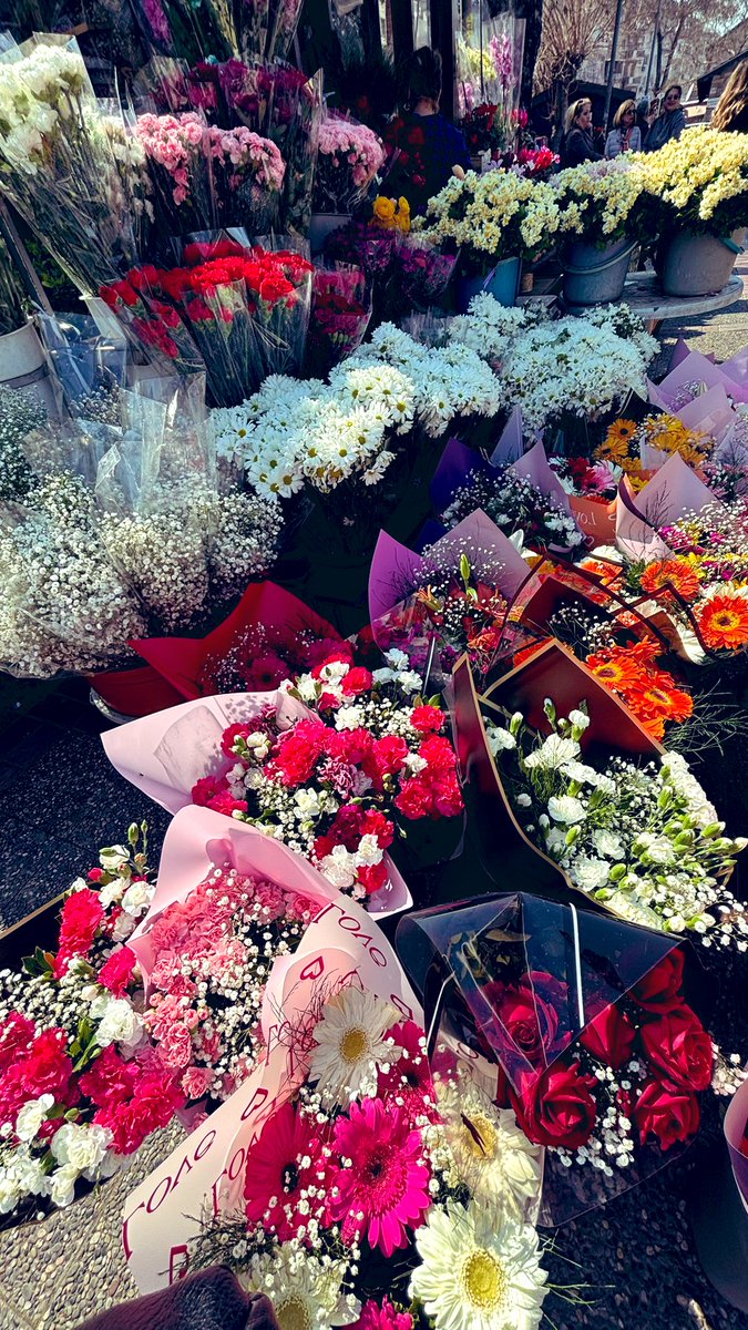 Dmt_Yvz_'s tweet photo. Söylediği ve yaptığı uyuşmayan hiçkimseyi ciddiye almıyorum!
Sevgiler, saygılar iyi günler..
💐🌷🪷🥀🌹🌺🌸🌼🌻
#cumamodu
#Cuma
#friday
#FridayMotivation
#FridayVibes
#6Mart
#günedair
#günebirkare 📷 😎💙 https://t.co/5Rs4xX1JOc