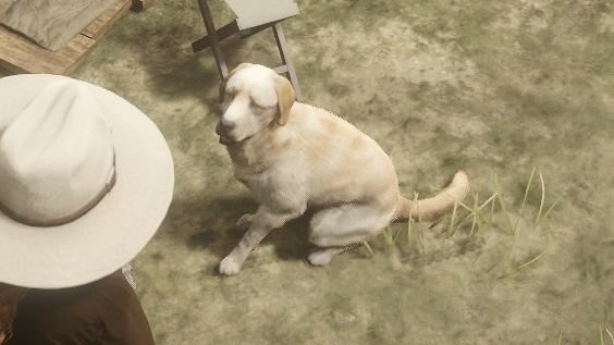 ryammy95's tweet photo. 久々にRDOやったんだけど、自分の飼い犬ネコって名前にしてたの完全に忘れてた

#RedDeadRedemption https://t.co/ejv8HYe3tq