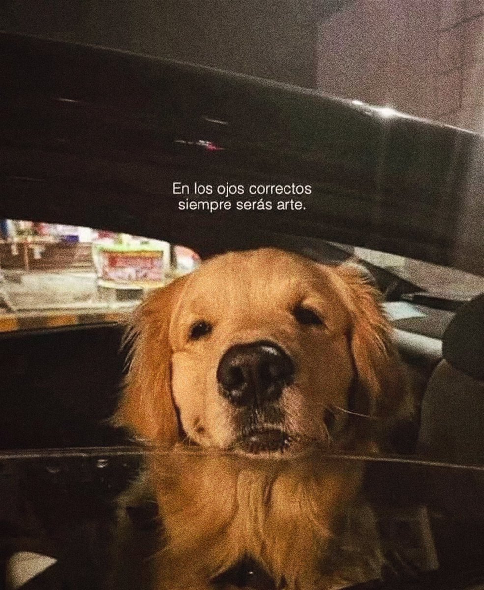 ramé (@escritosrame) on Twitter photo 