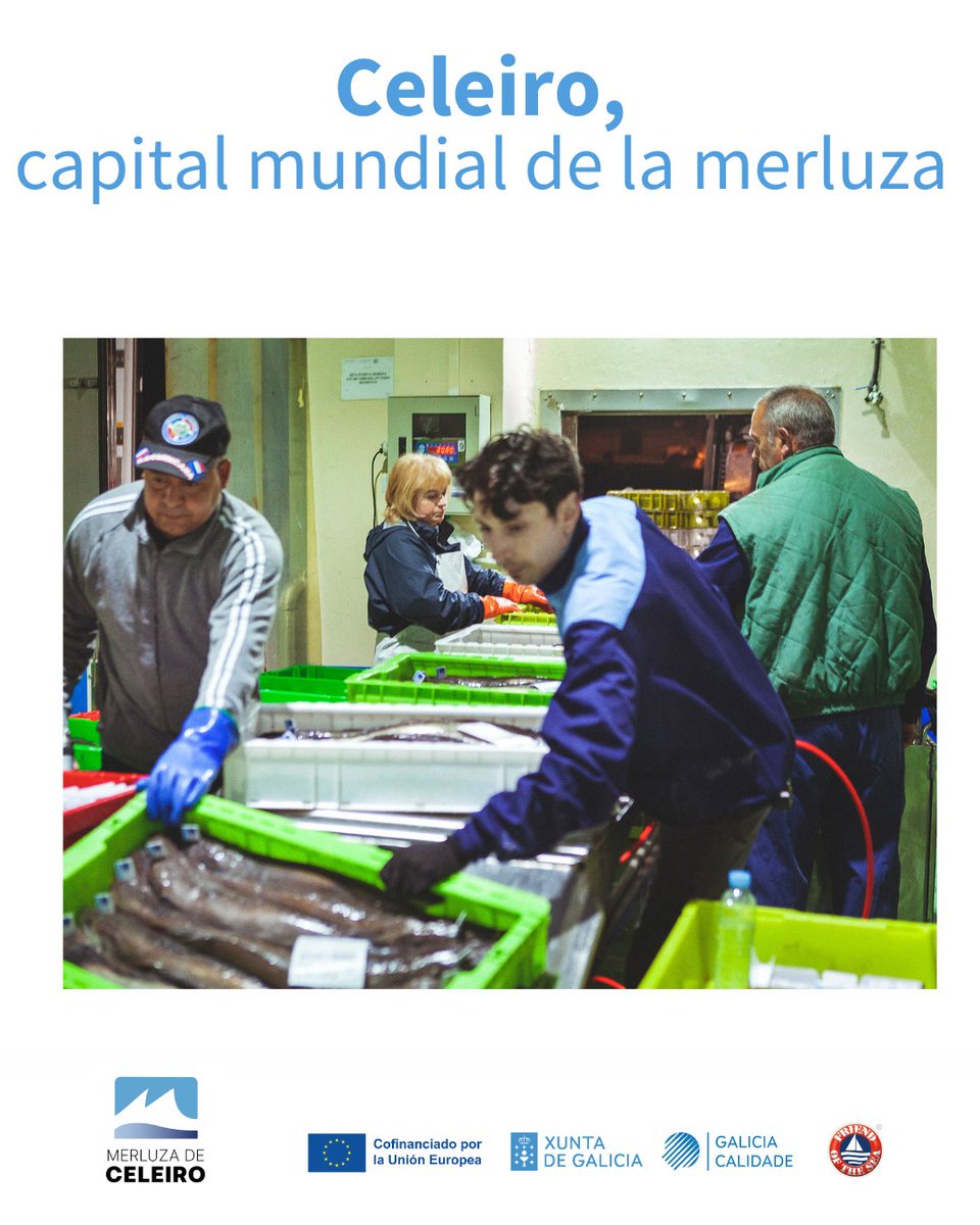 MerluzaDeCeleiro tweet media