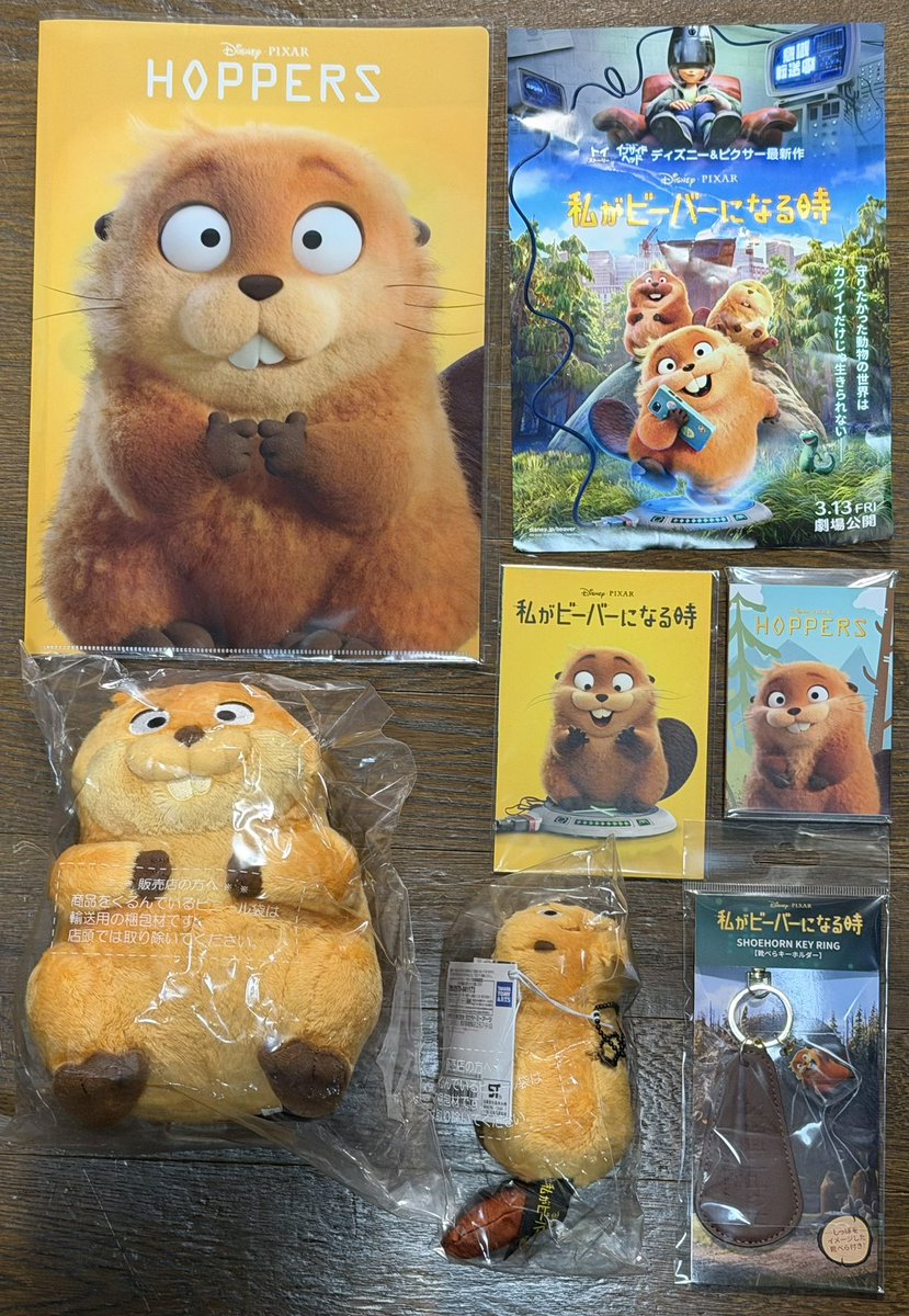 私がビーバーになる時のグッズ
いくつか買って来てもらいまし
た🦫🤗

#ヒノトントンZOO #羽村ビーバー家 #私がビーバーになる時