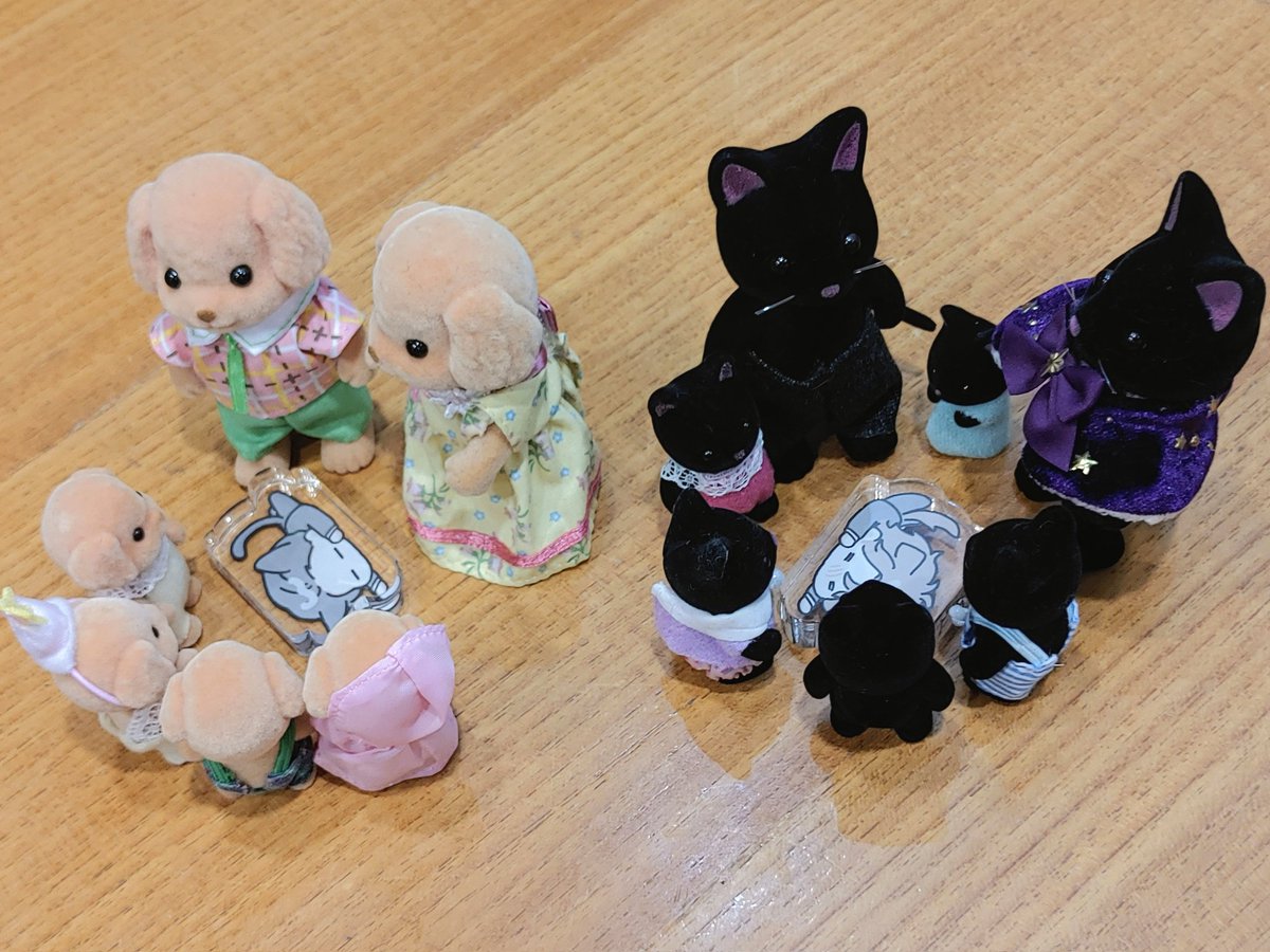 실바니안 패밀리에게 당했습니다