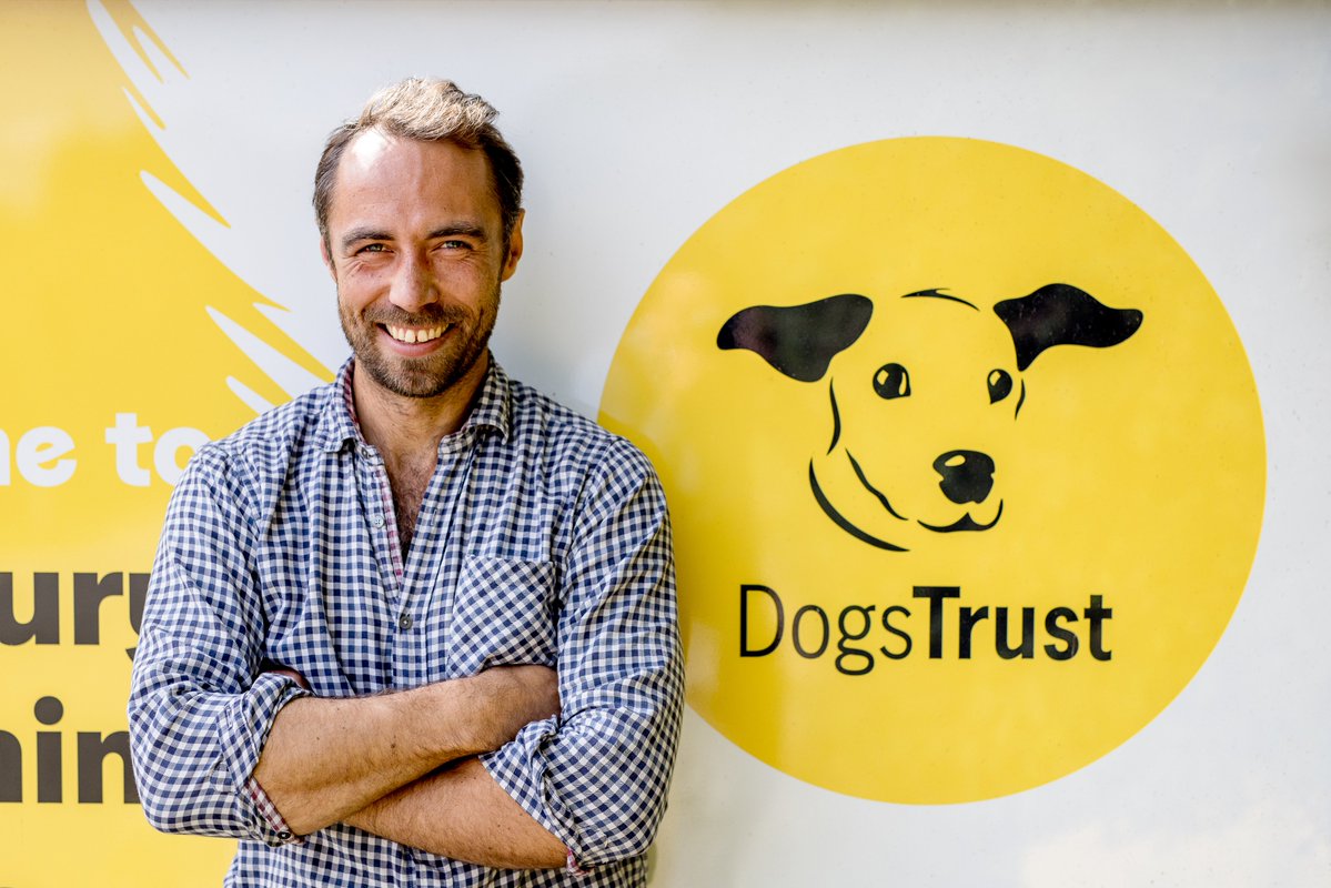 Dogs Trust VIP Team 💛🐶 tweet media