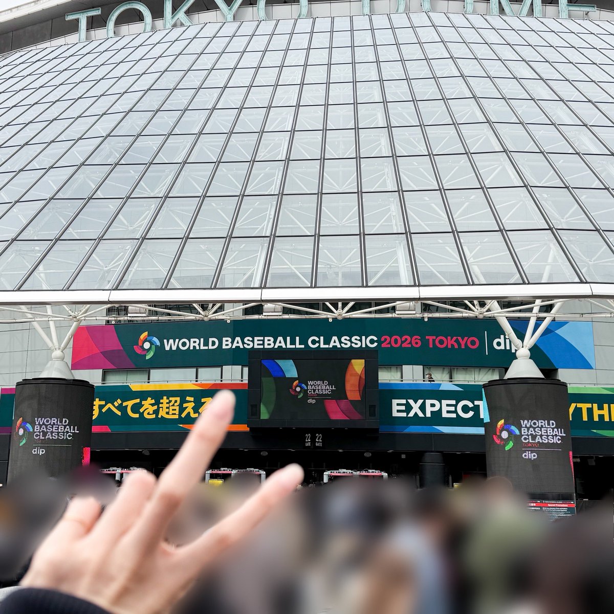 今日はWBC観戦してきたよー チェコVSオーストラリア戦 よい試合でした