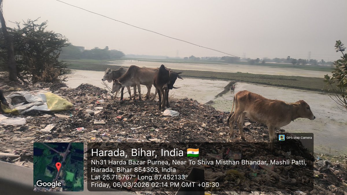 raman_2609's tweet image. 1.Garbage dumping, plastic waste, burning trash and meat waste right beside the Kosi River at Harada Bazar NH-31, Purnea.
Cattle are forced to feed on this waste and toxic smoke spreads in the area.
This is not just pollution, it's administrative failure.
@dmpurnea #Purnea #Swach