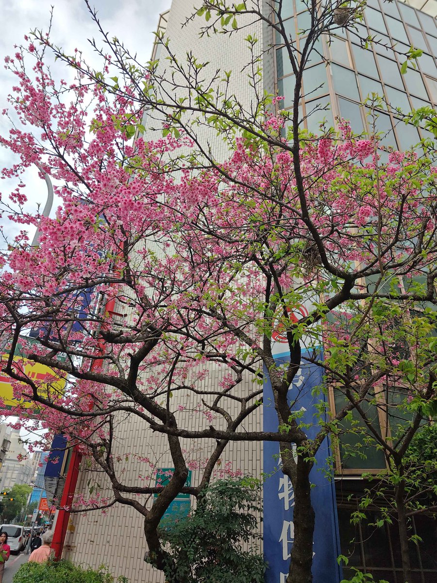 FilterGame《体験版公開中》 tweet media