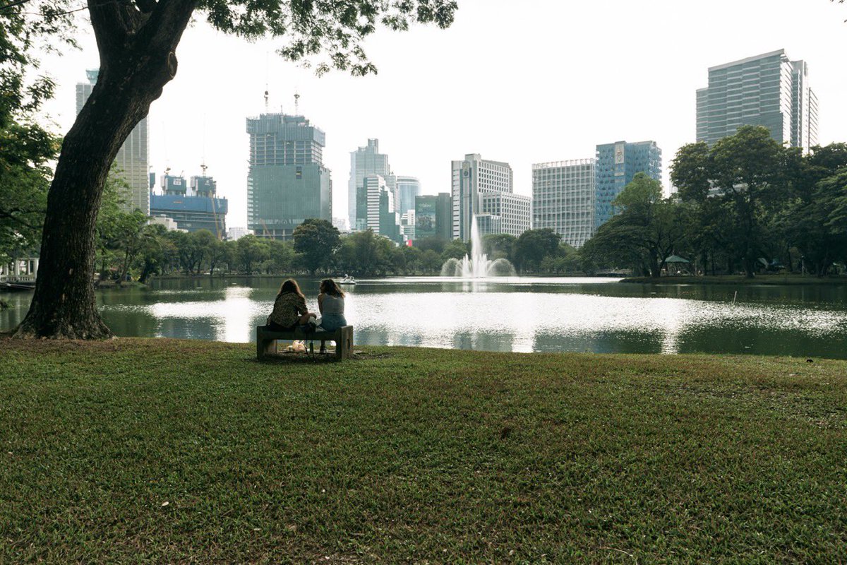 THE SENDER tweet media