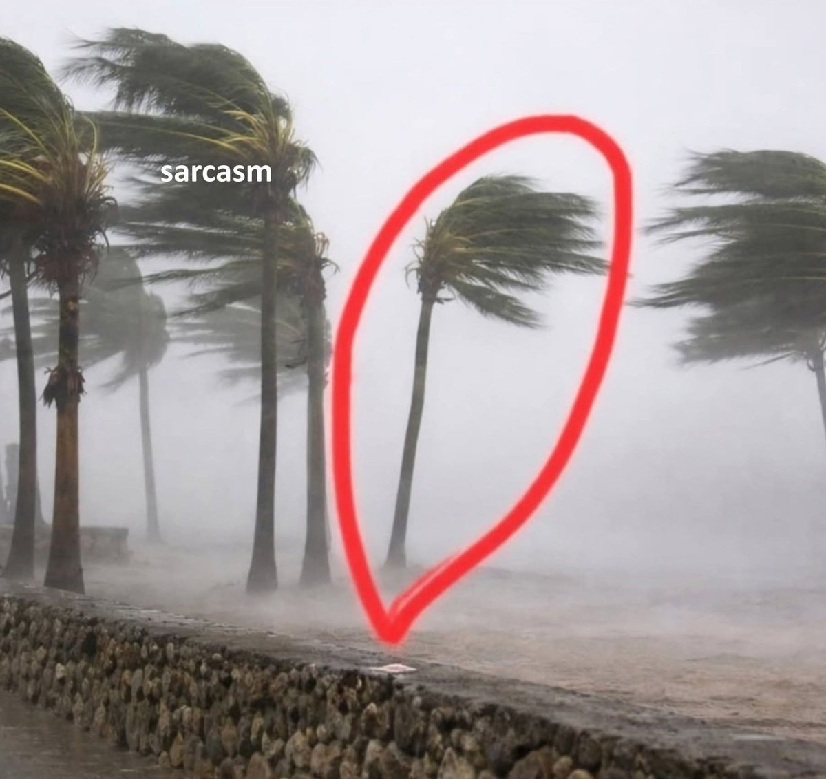 My life my rules 🤣

#WW3