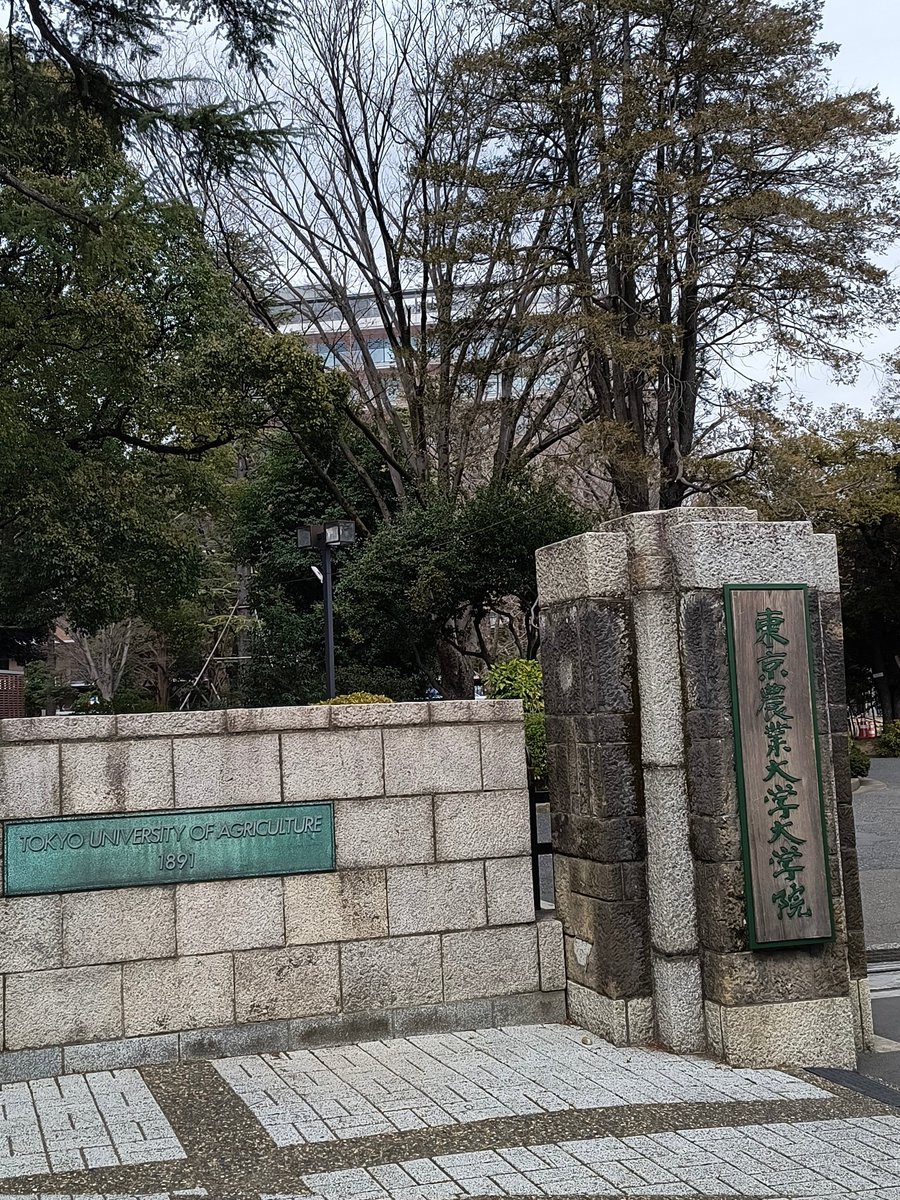 若葉園芸 tweet media