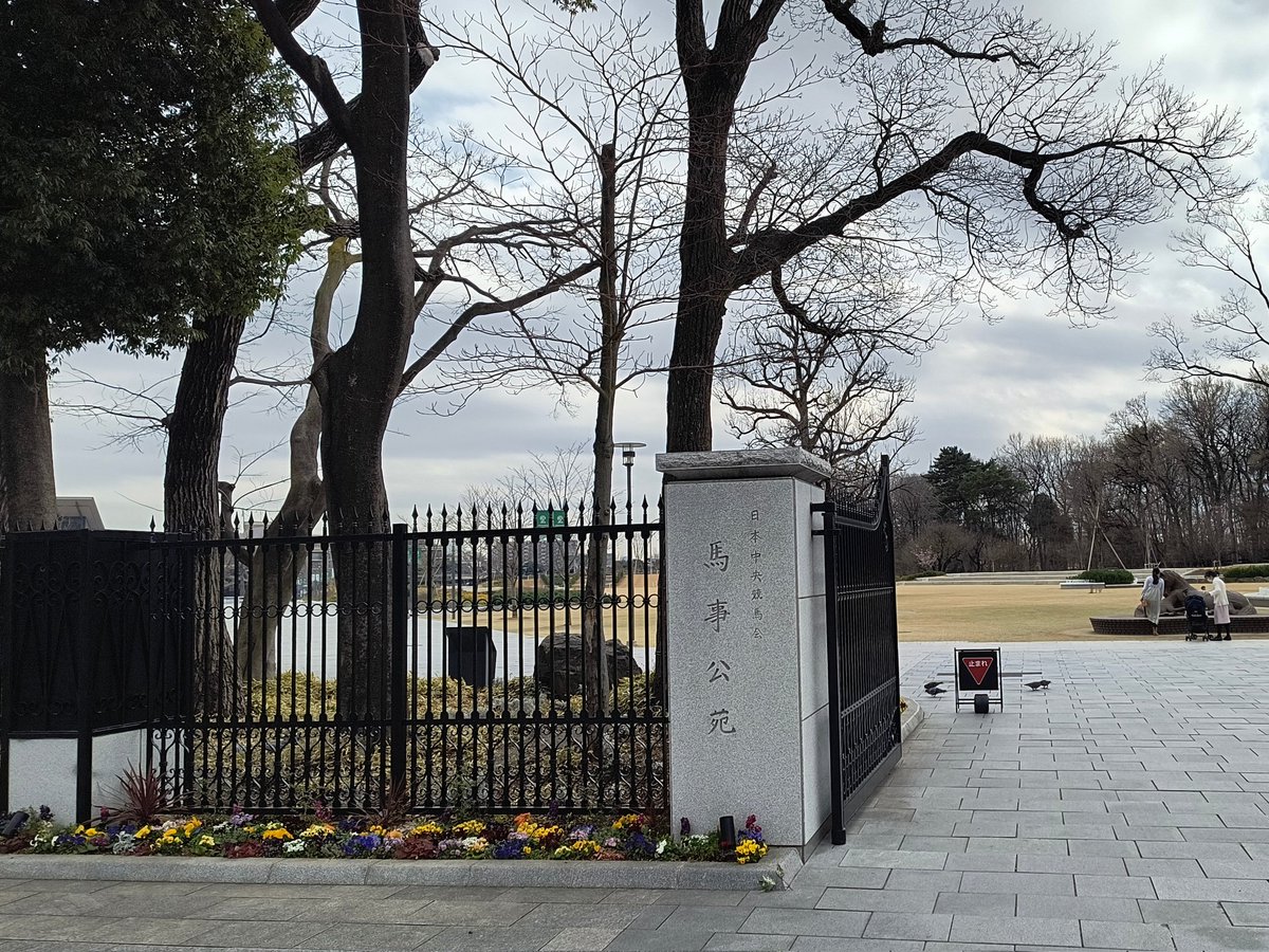 若葉園芸 tweet media
