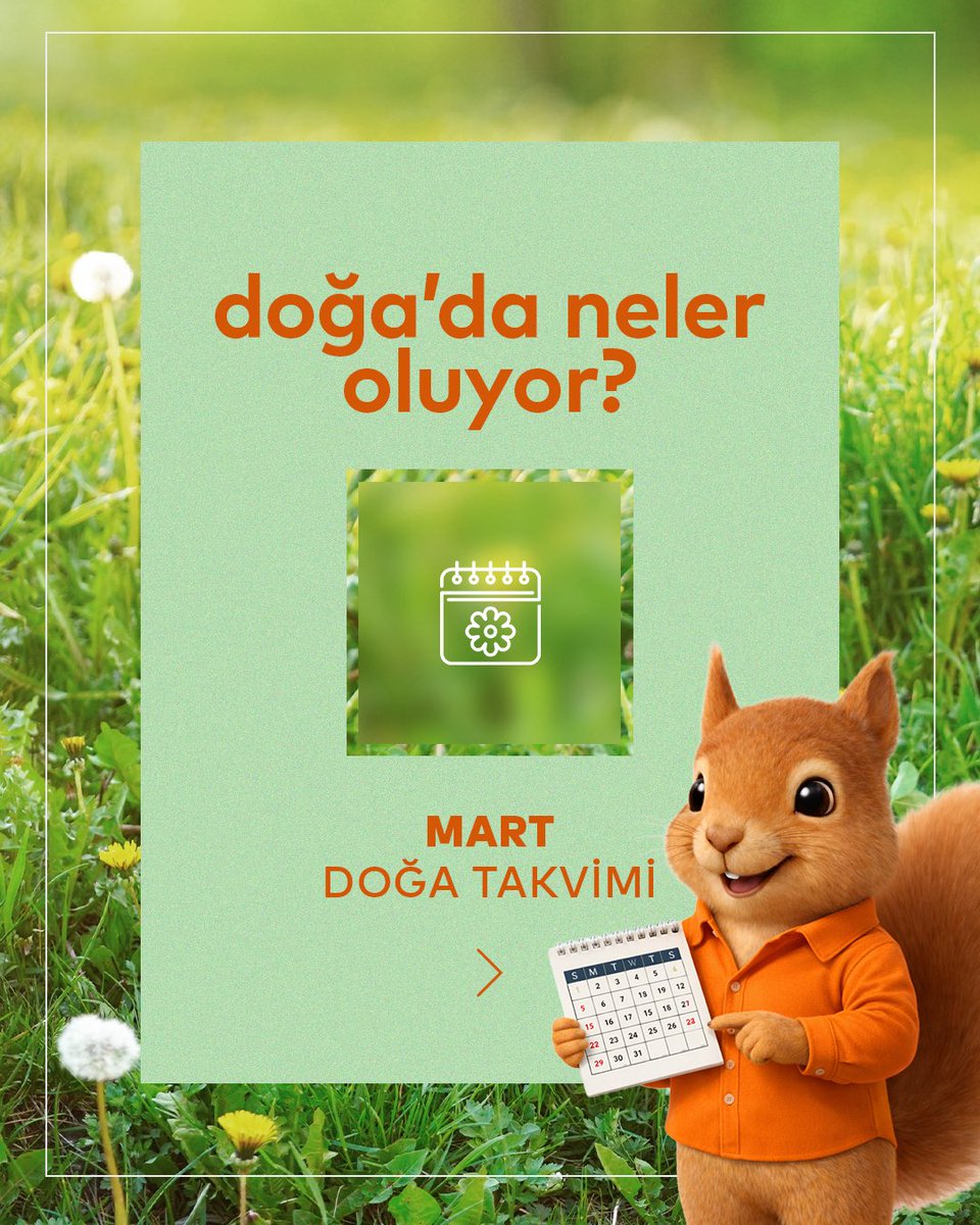 Kemerburgaz Kent Ormanı tweet media