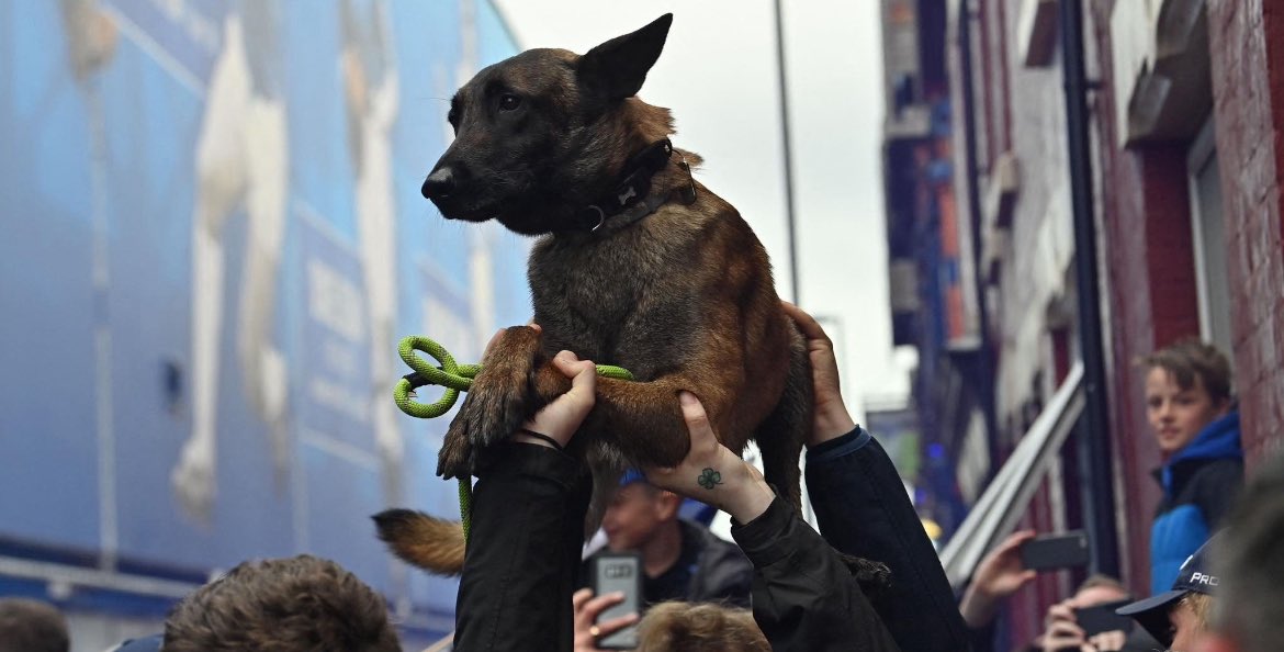 Jim Keoghan tweet media