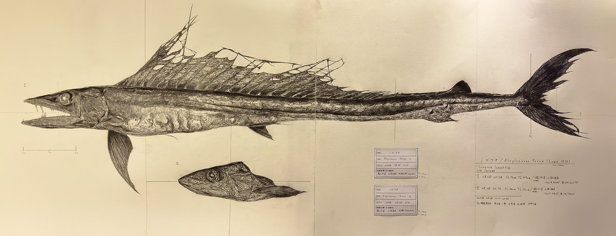 デストロイ=ハカイ tweet media