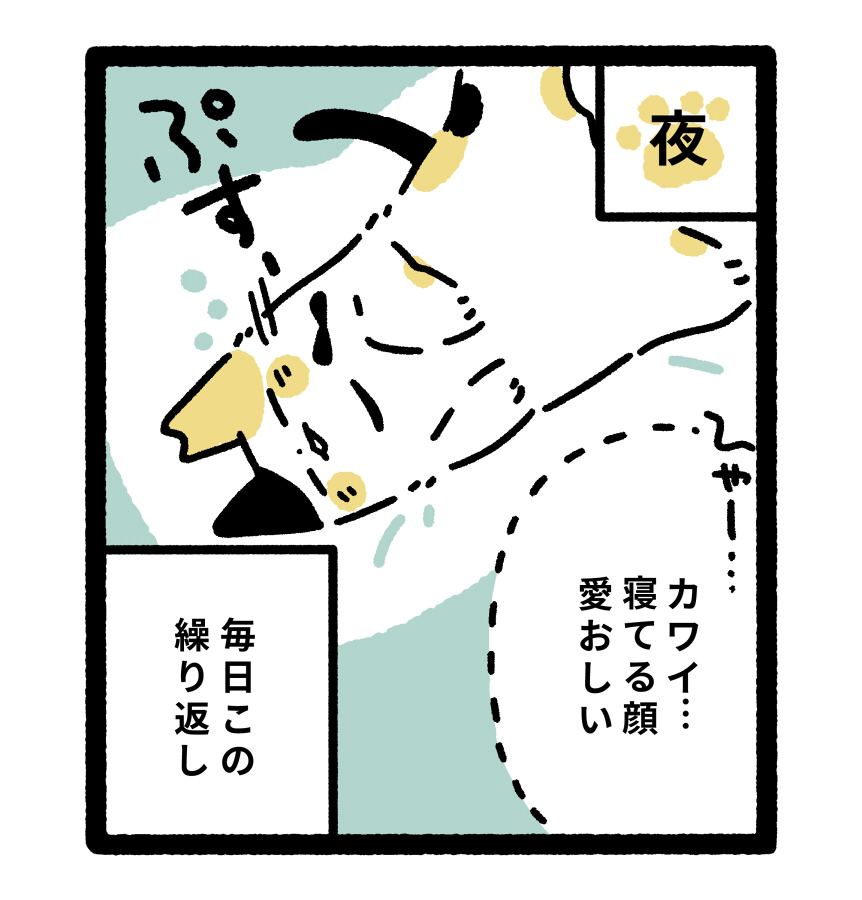 ( 2/2 ) 
